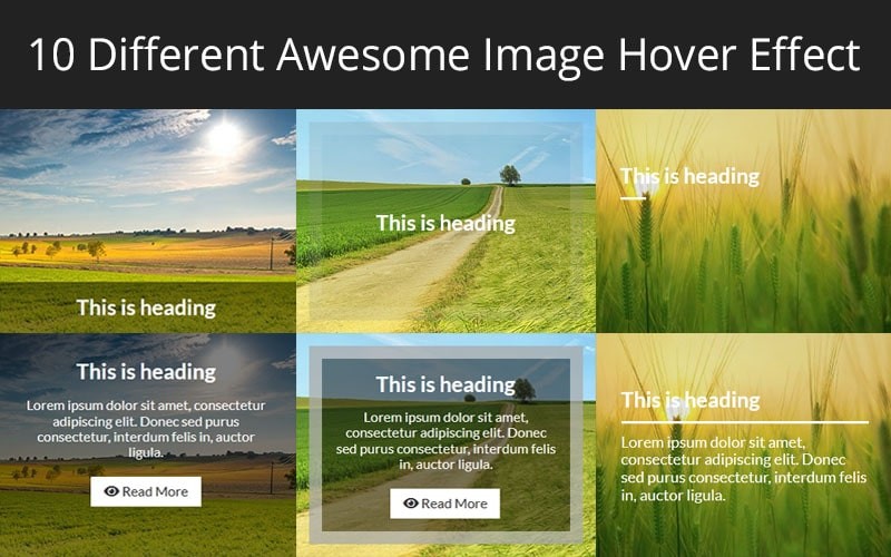 CSS Image Hover Effects - Free Download - HTML Codex